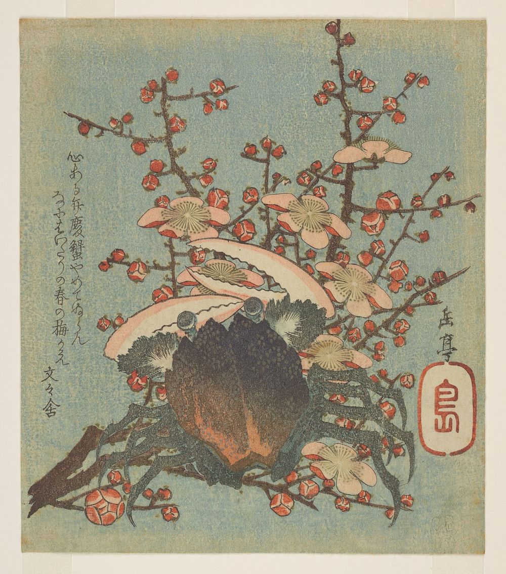Benkei crab and plum blossom. Shikishiban format, surimono print by Yashima Gakutei with poems signed Bunbunsha. Printed in…