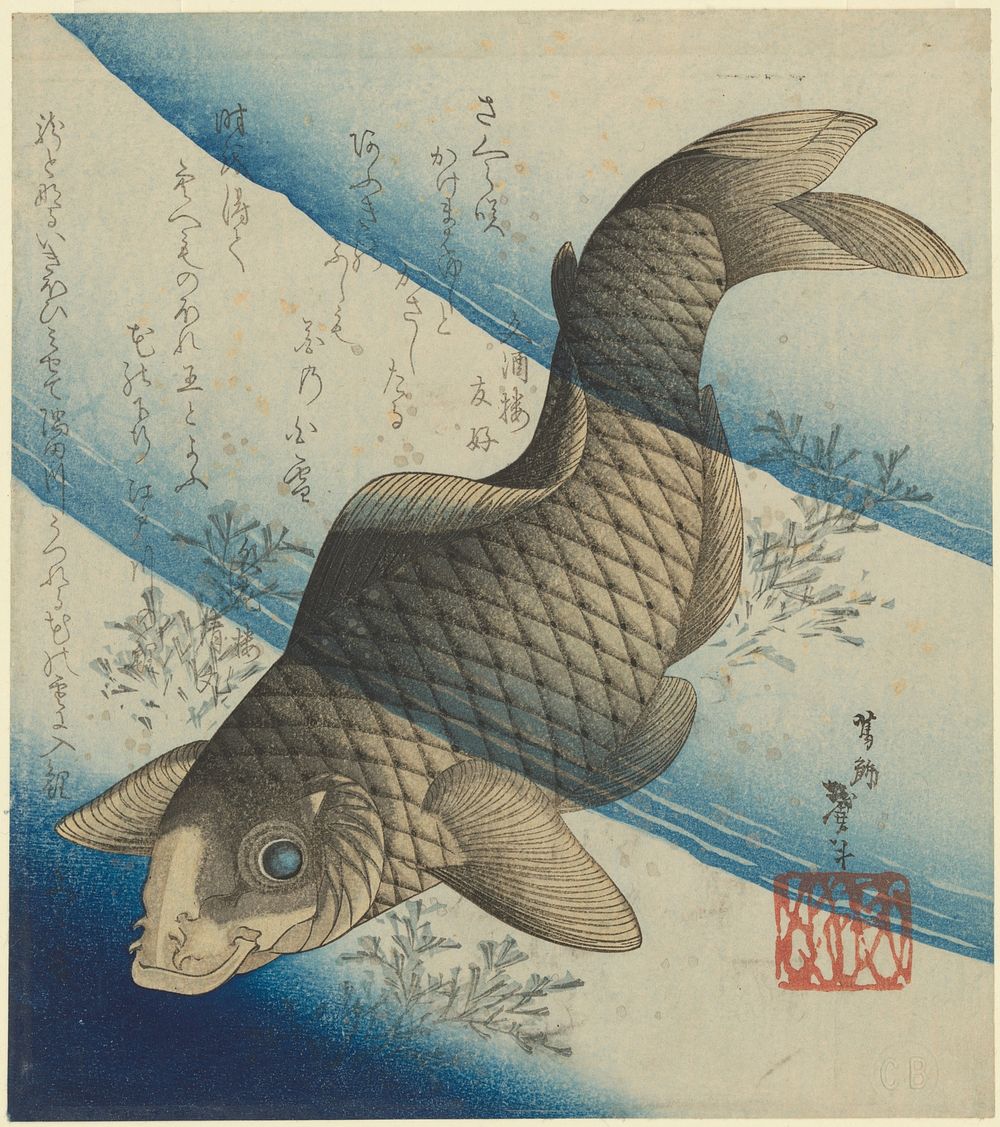 Carp swimming among waterweeds. Surimono by Katsushika Taito II. Japan, probably 1832. Chester Beatty Library