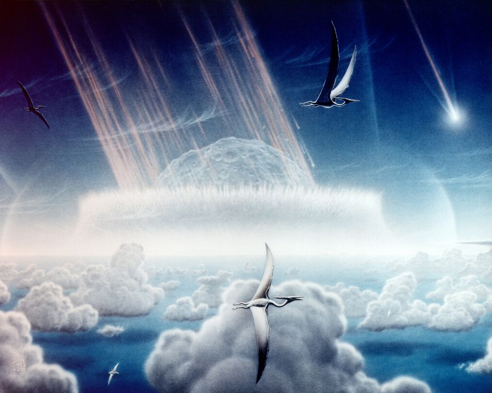 This painting by Donald E. Davis depicts an asteroid slamming into tropical, shallow seas of the sulfur-rich Yucatan…