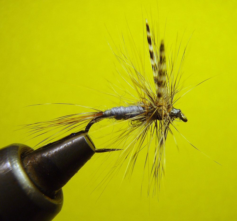 It is one of the more versatile flies because it is affective on both the west and east coasts. It is usually a size-18 and…