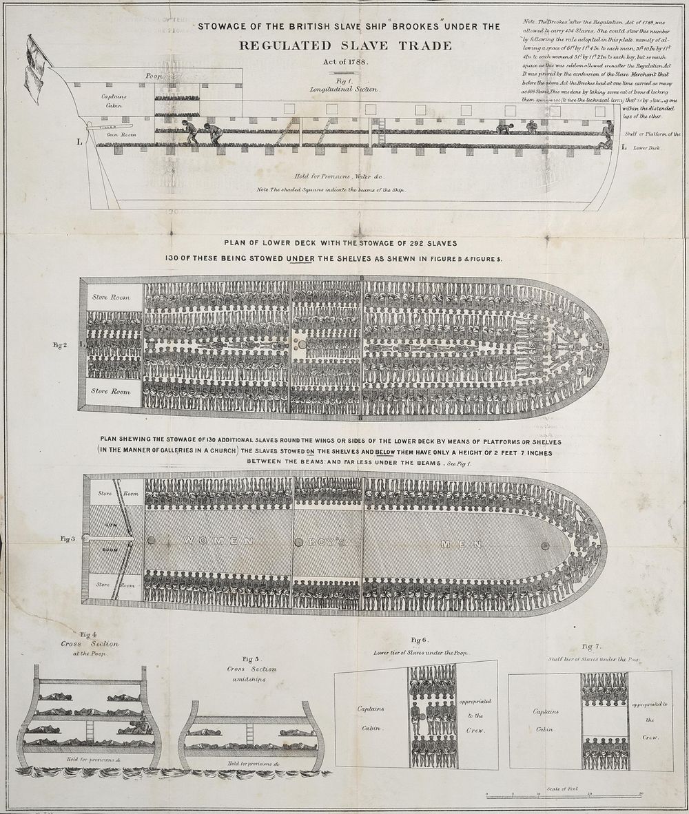 Stowage of the British slave ship Brookes under the regulated slave trade act of 1788.