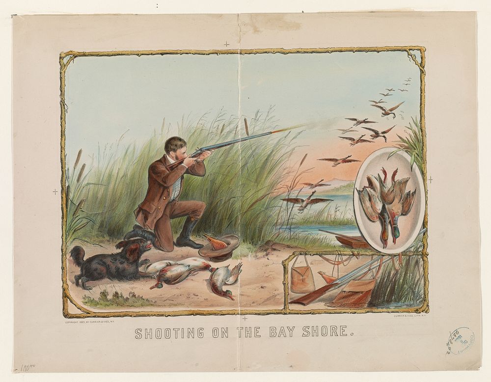 Shooting on the bay shore (1883) by Currier & Ives