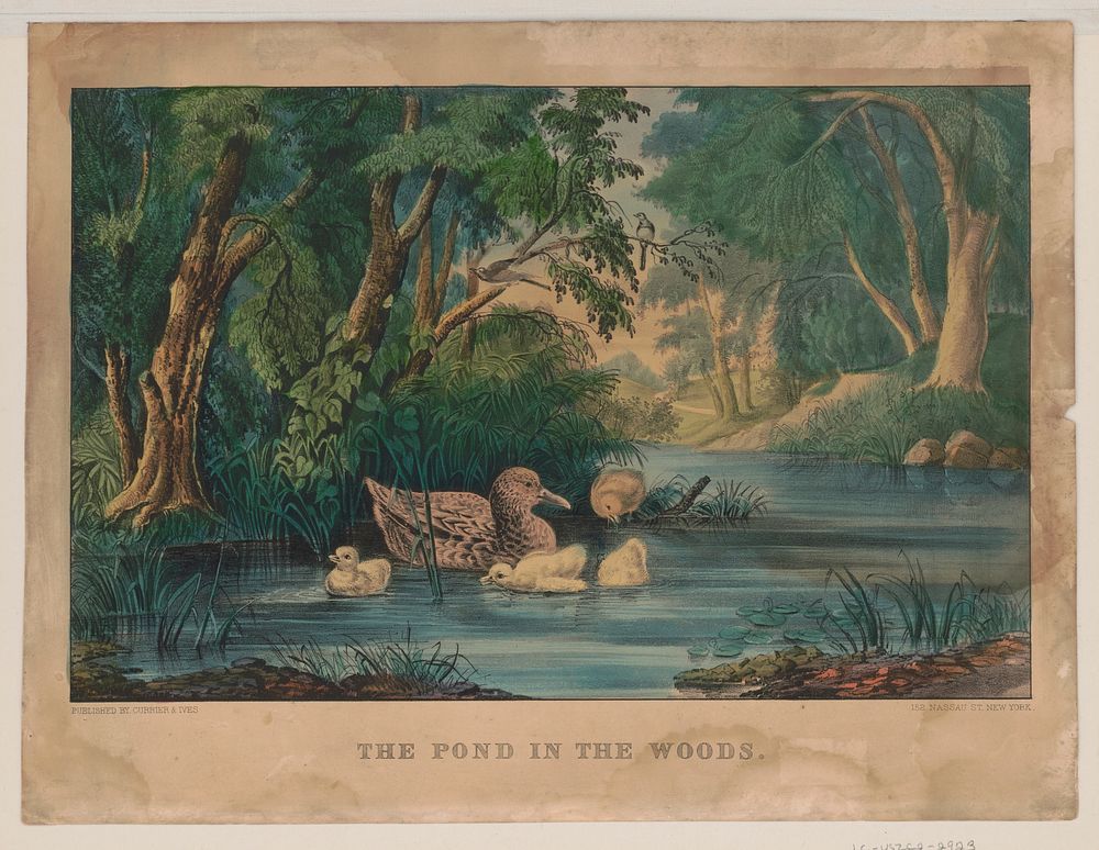 The pond in the woods between 1856 and 1907 by Currier & Ives