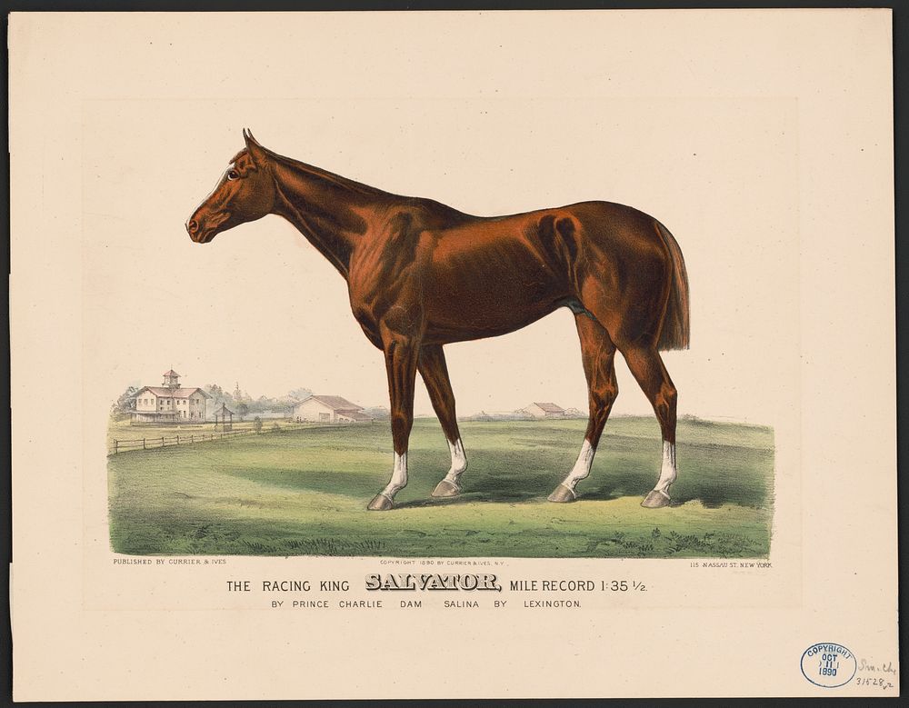 The racing King salvator, mile record 1:35 12: by Prince Charlie Dam Salina by Lexington (1890) by Cameron, John