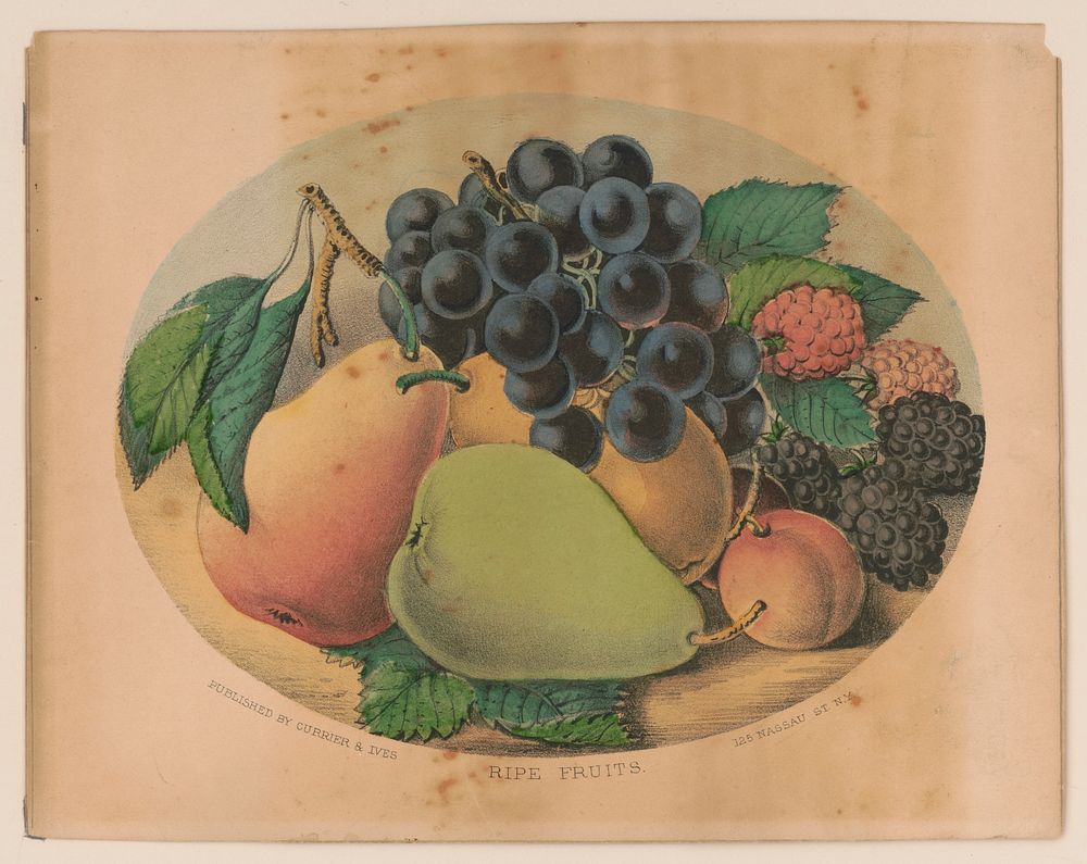 Ripe fruits between 1856 and 1907 by Currier & Ives.
