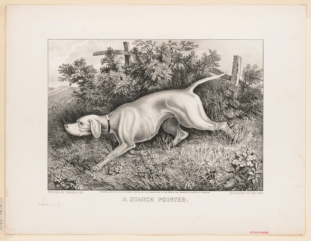 A stanch pointer (1871) by Currier & Ives