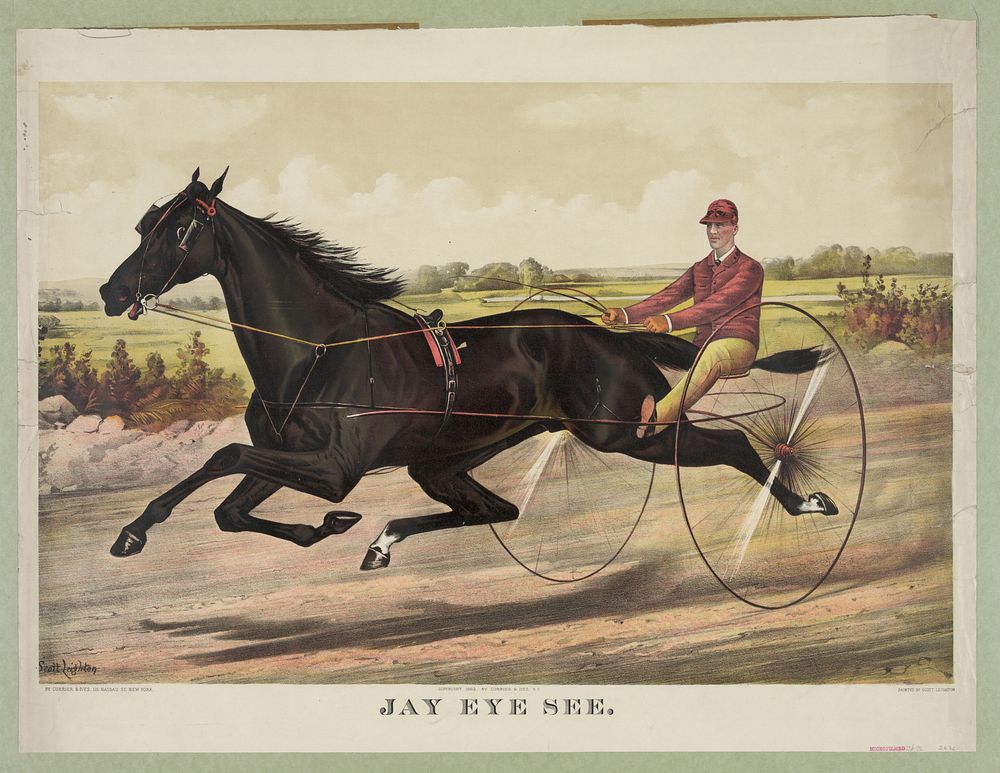 Jay eye see (1883) by Currier & Ives.
