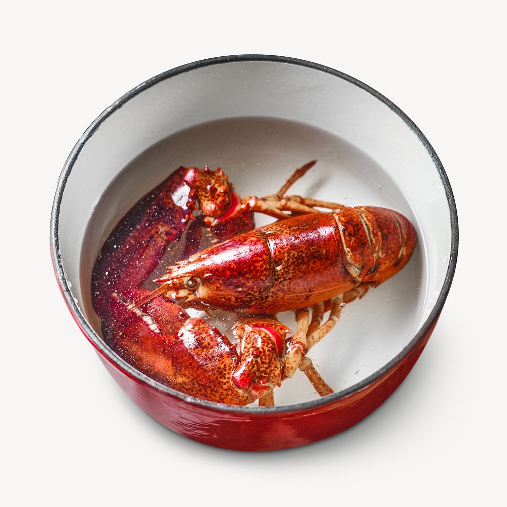 Cooked lobster image, food photo on white