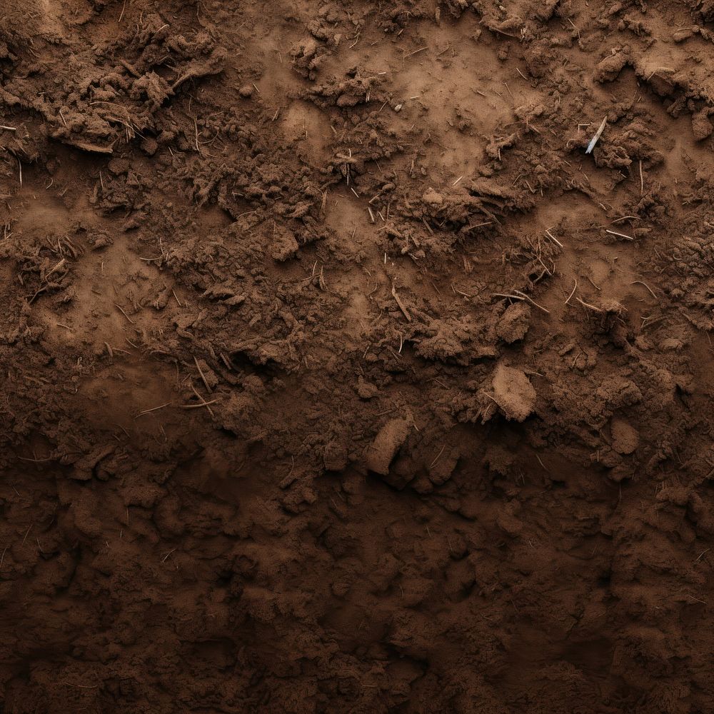 Soil outdoors texture nature. AI generated Image by rawpixel.