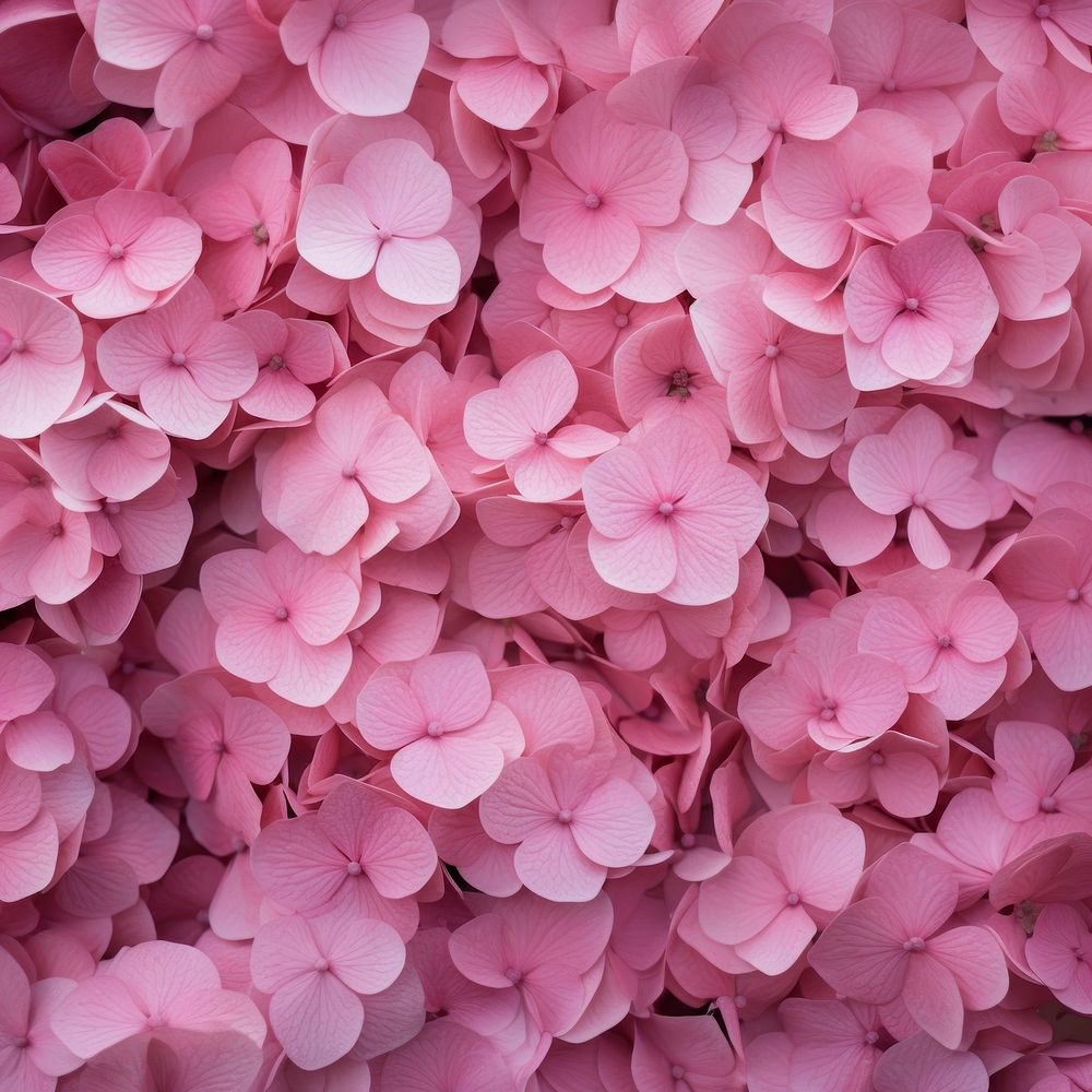 Pink floral backgrounds flower petal. AI generated Image by rawpixel.