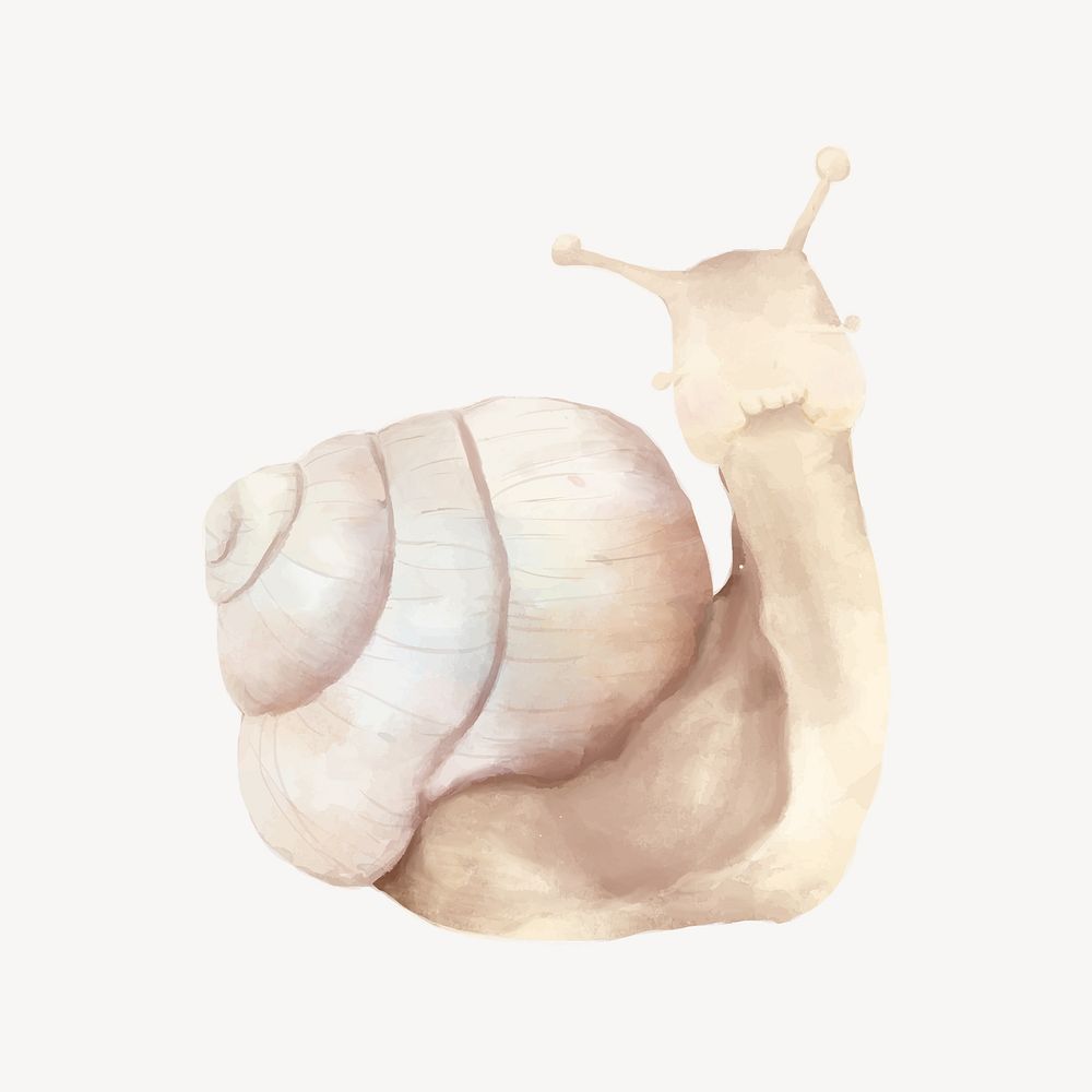 Cute snail watercolor illustration 