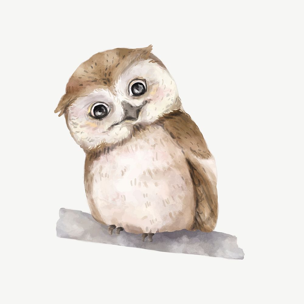 Cute baby owl watercolor illustration psd