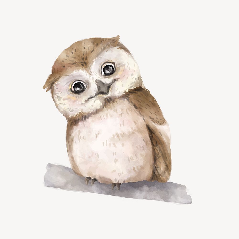 Cute baby owl watercolor illustration 