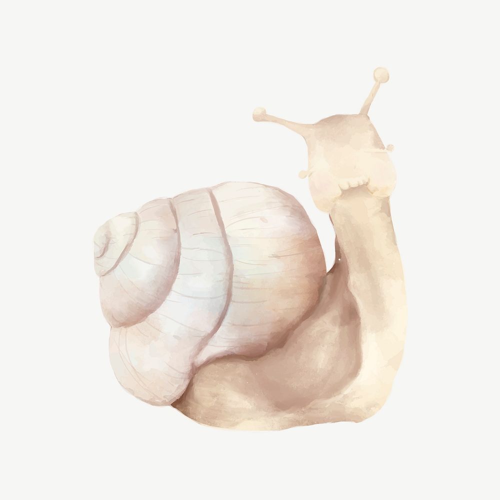 Cute snail watercolor illustration psd