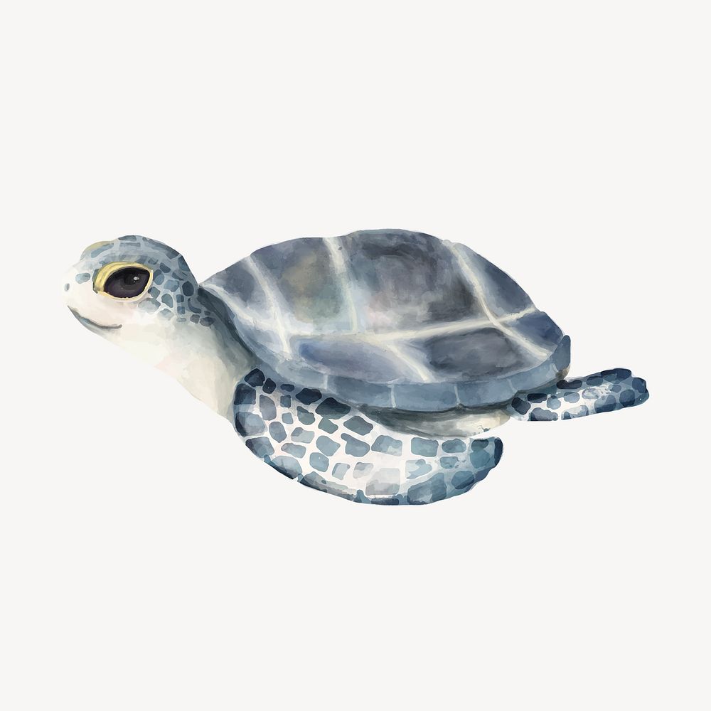 Cute baby turtle watercolor illustration 
