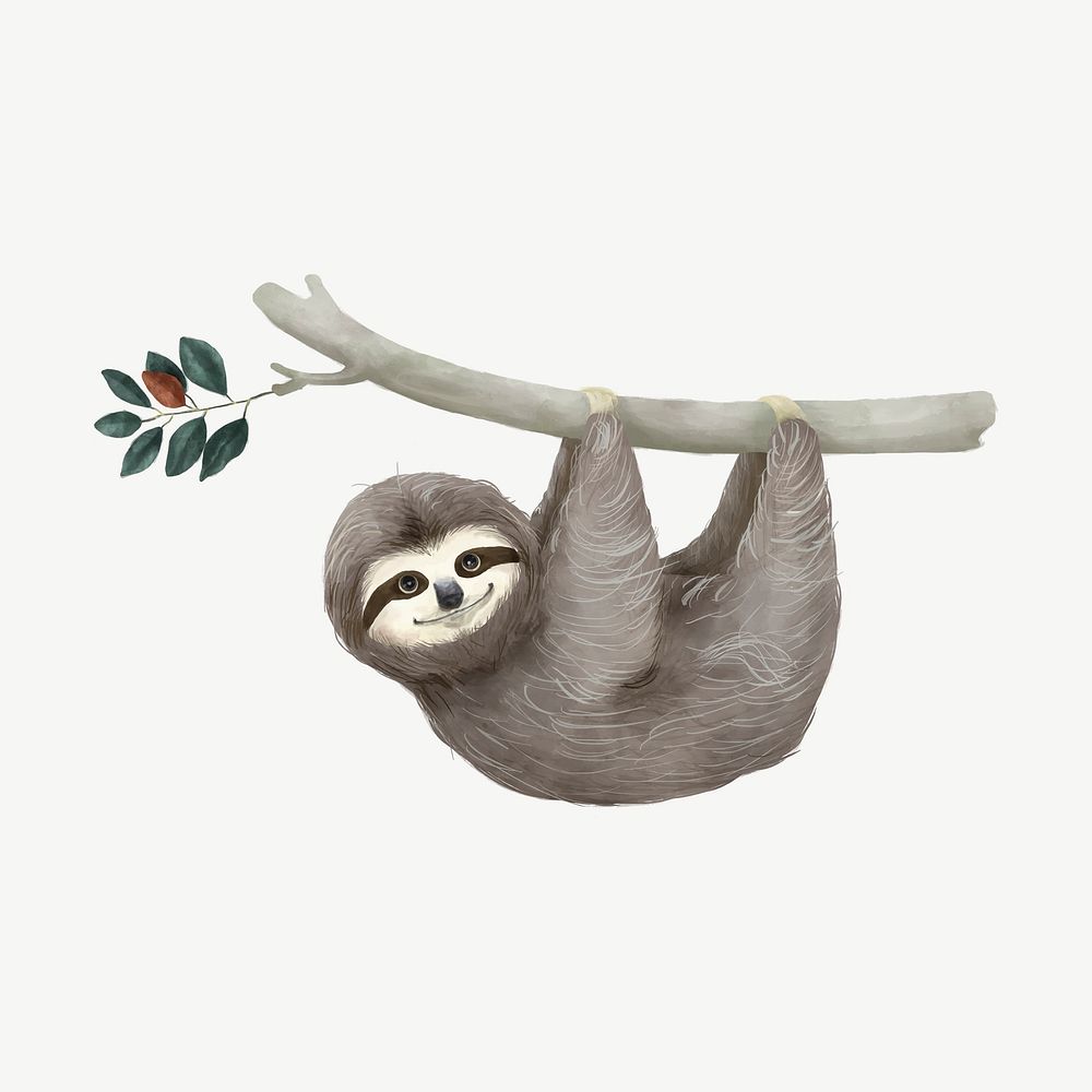 Cute hanging sloth watercolor illustration psd