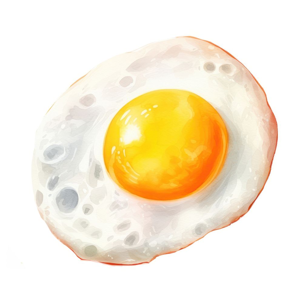 A fried egg food white background freshness. AI generated Image by rawpixel.
