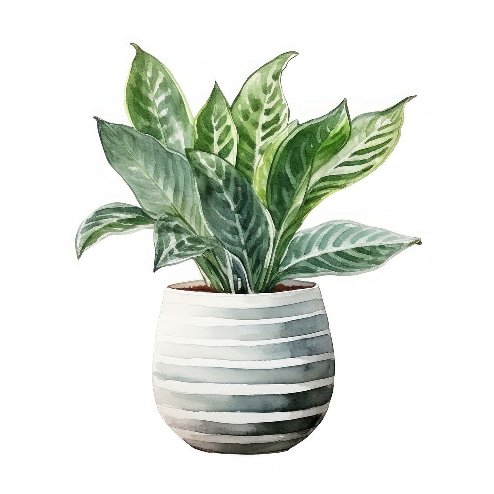 Houseplant vase leaf white background. AI generated Image by rawpixel.