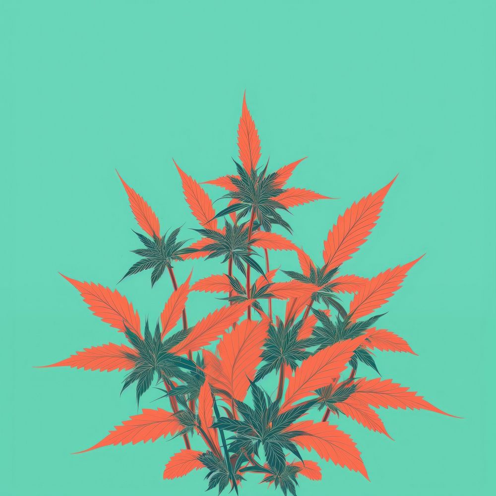 Cannabis plant leaf medicine. AI generated Image by rawpixel.