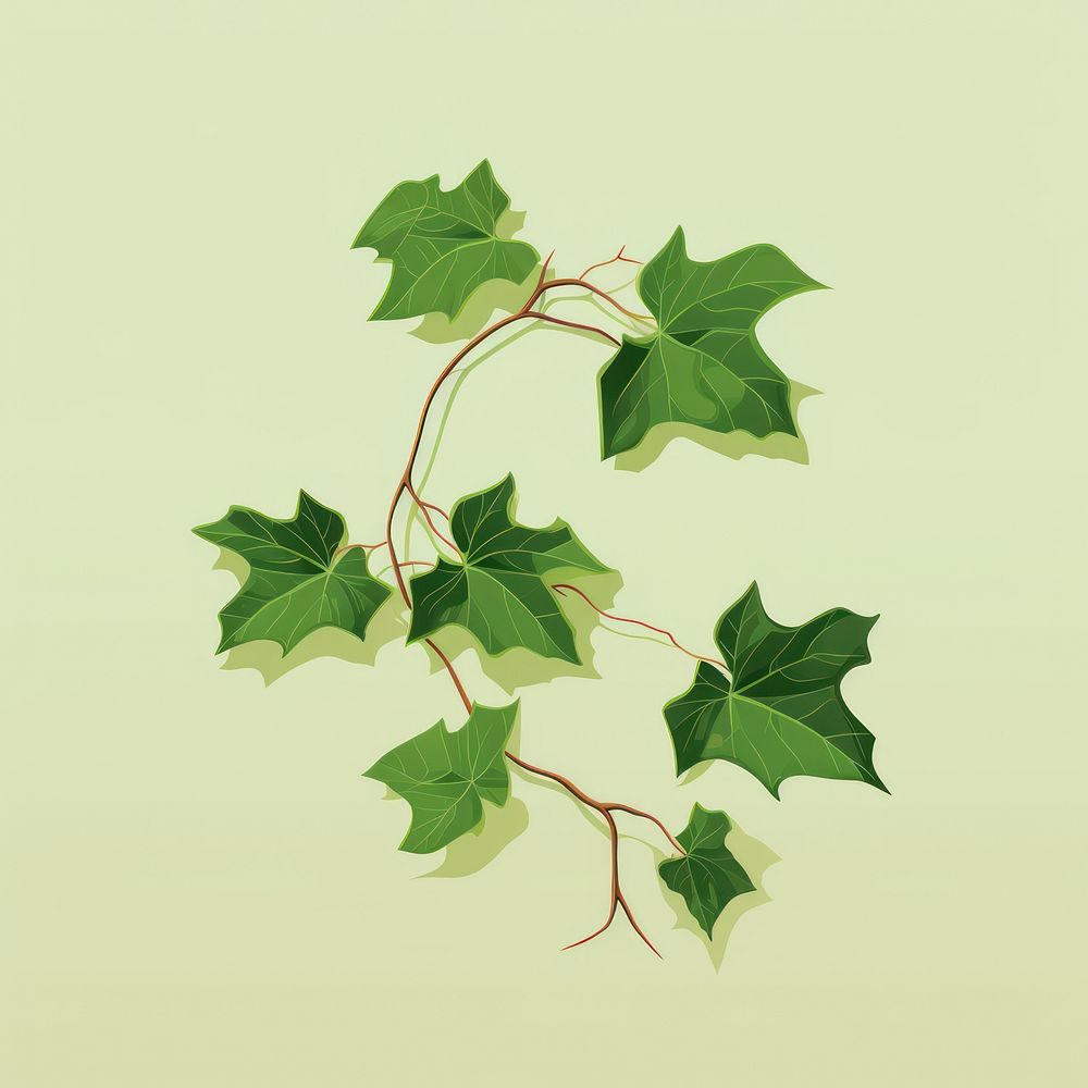 English Ivy ivy plant green. AI generated Image by rawpixel.