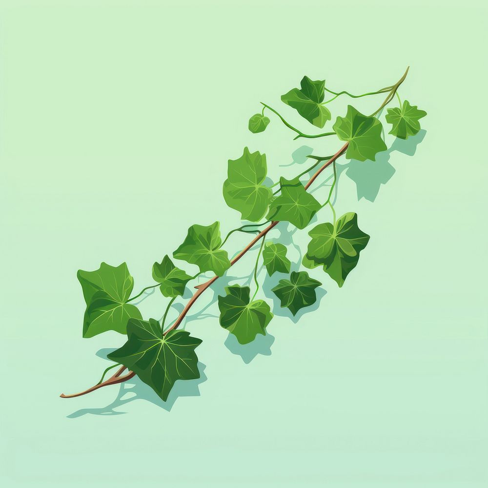 English Ivy ivy plant green. AI generated Image by rawpixel.