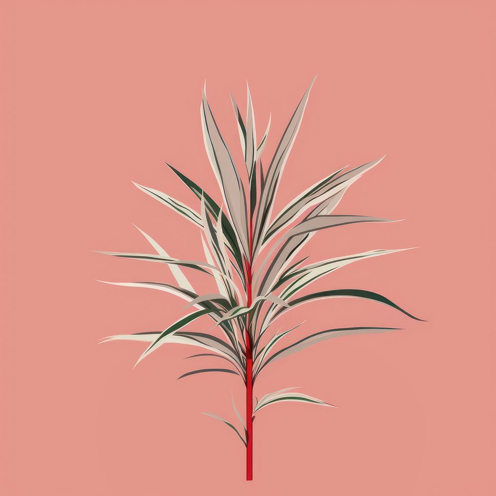 Dracaena Marginata plant rosemary branch. AI generated Image by rawpixel.