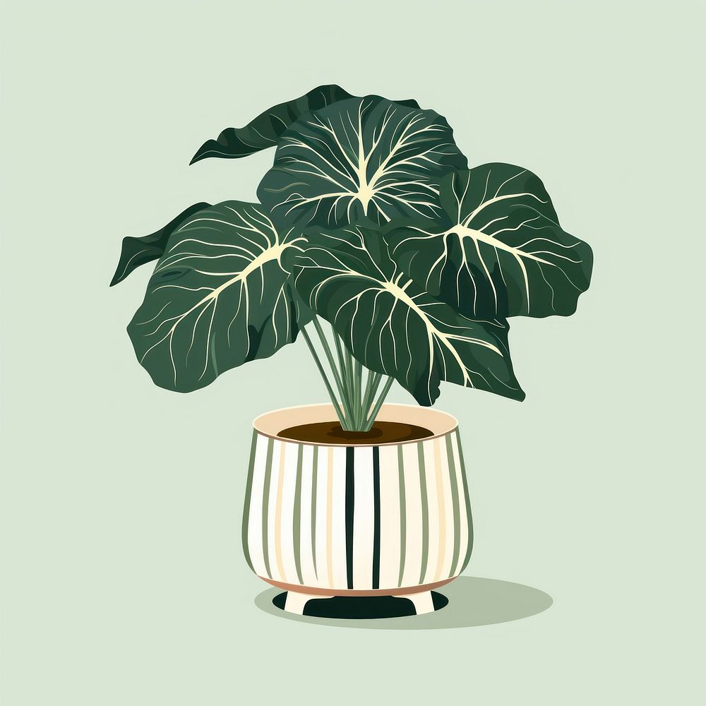 Alocasia longiloba plant leaf vase. AI generated Image by rawpixel.