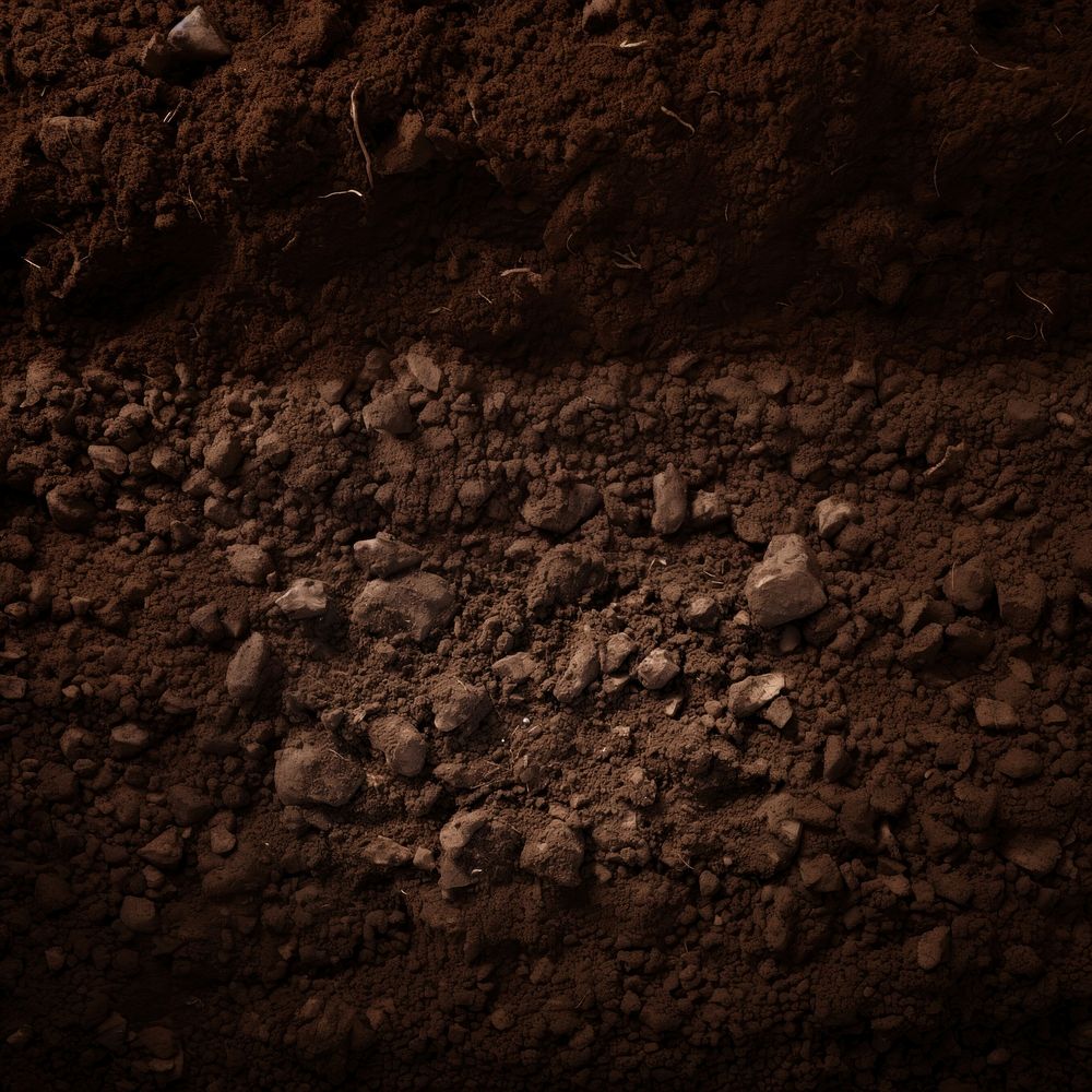 Soil. AI generated Image by rawpixel.