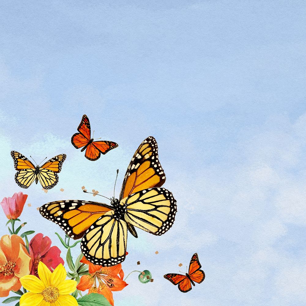 Blue sky background, colorful butterfly border