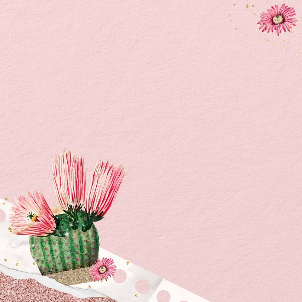Pink cactus border background
