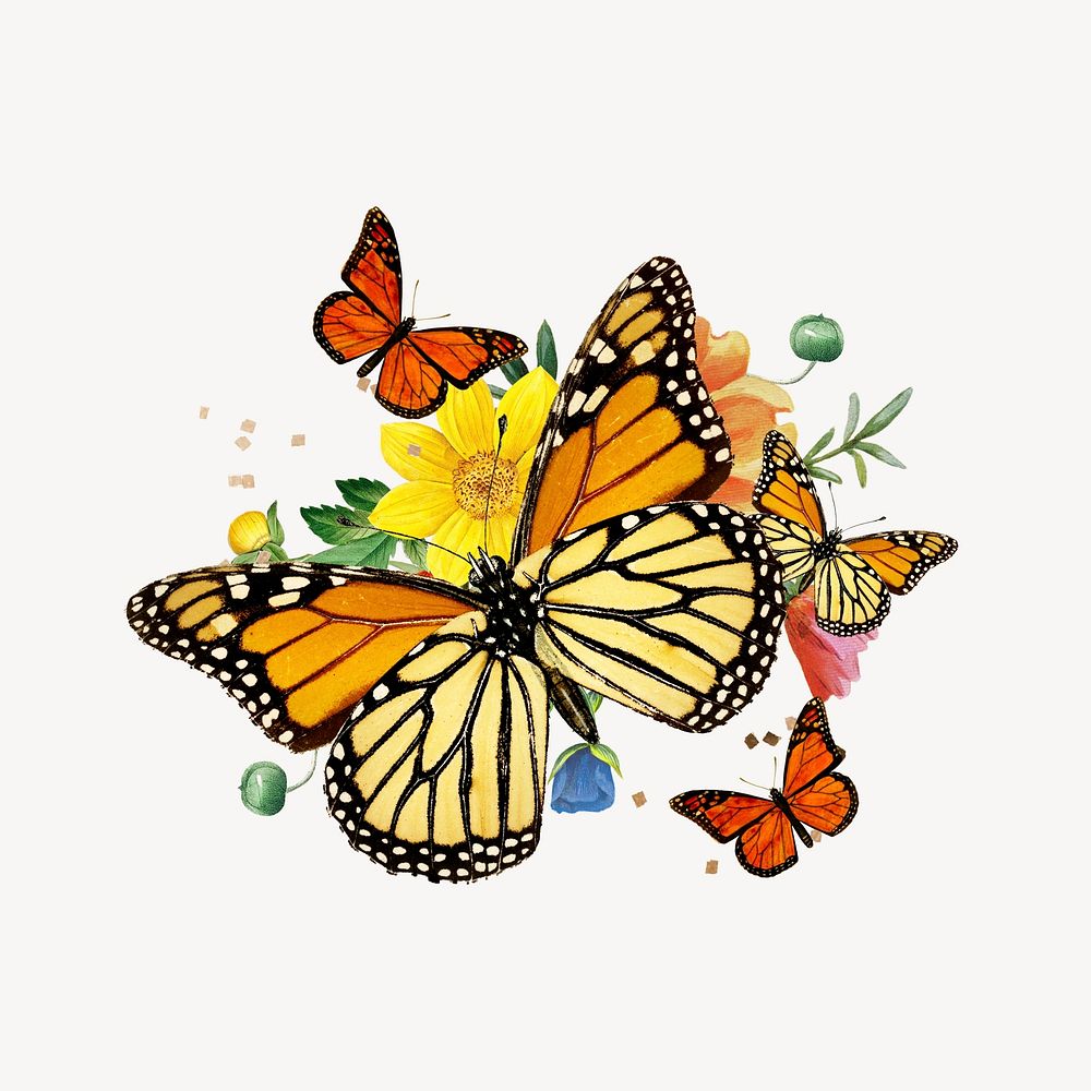 Monarch butterflies aesthetic, creative remix Free Photo Illustration