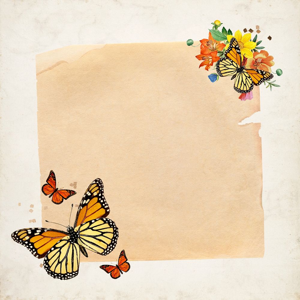 Aesthetic butterflies, note paper remix
