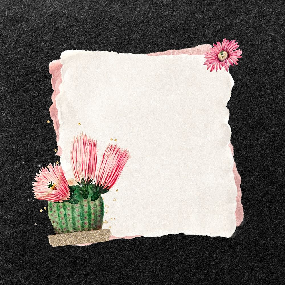 Pink cactus flower, note paper remix