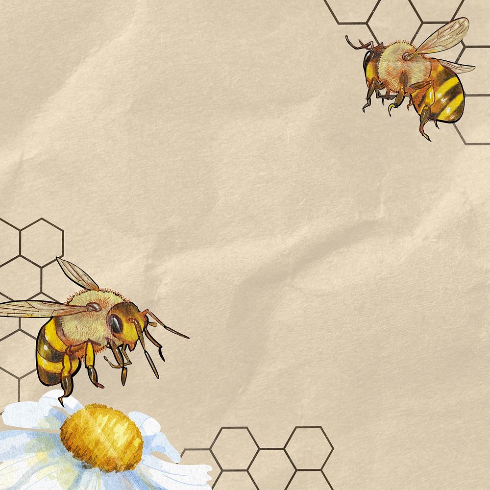 Wrinkled paper textured background, bees border