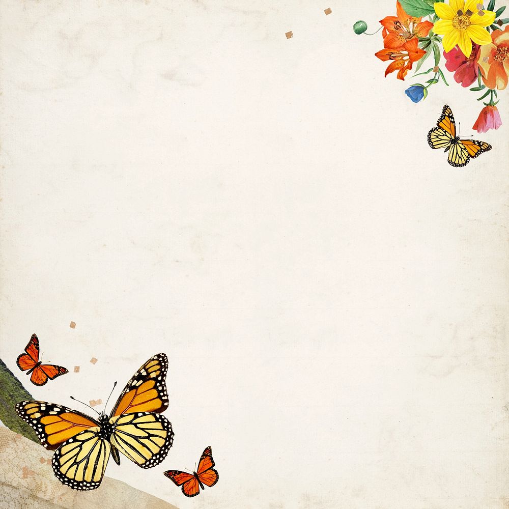 Old paper textured background, colorful butterfly border