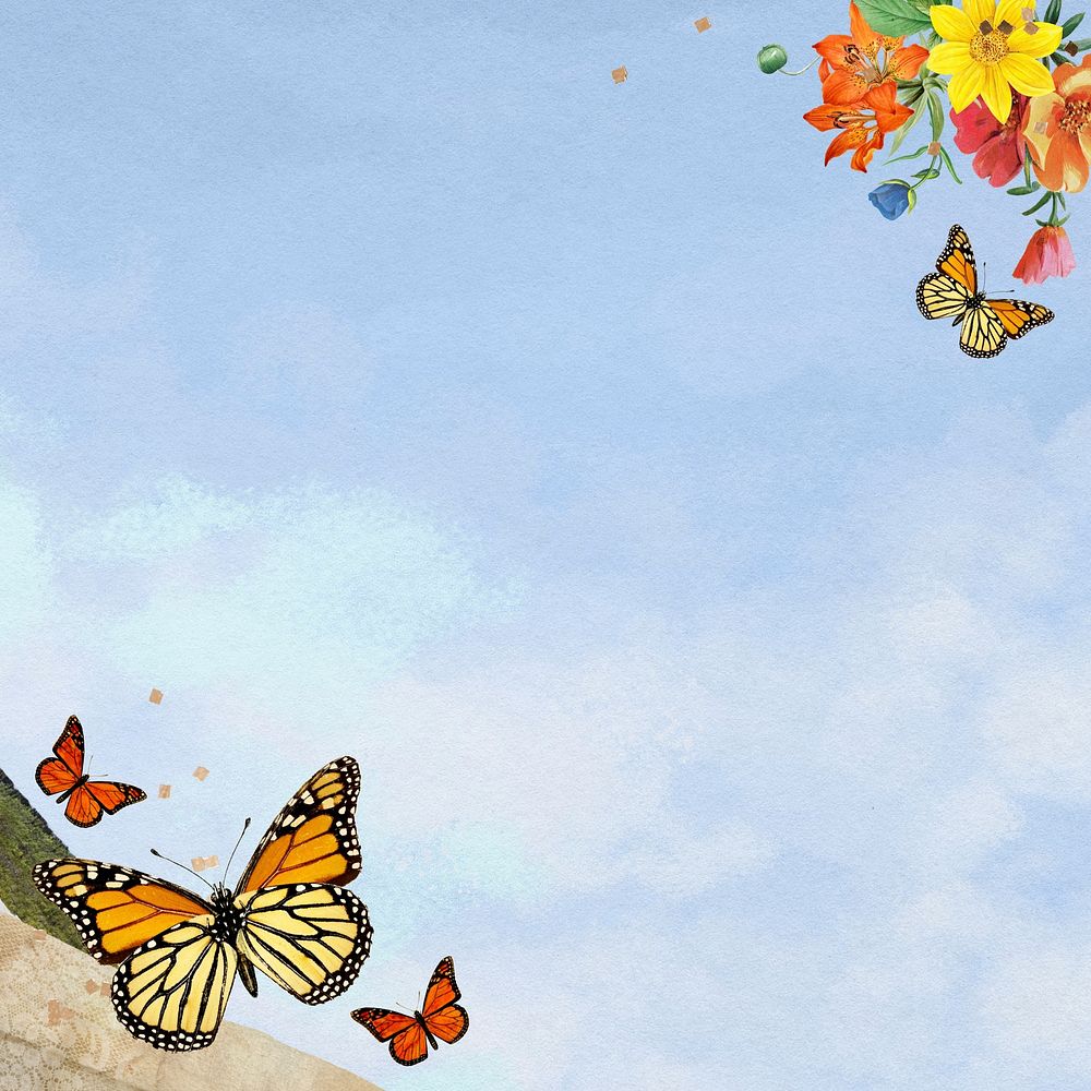 Blue sky background, colorful butterfly border