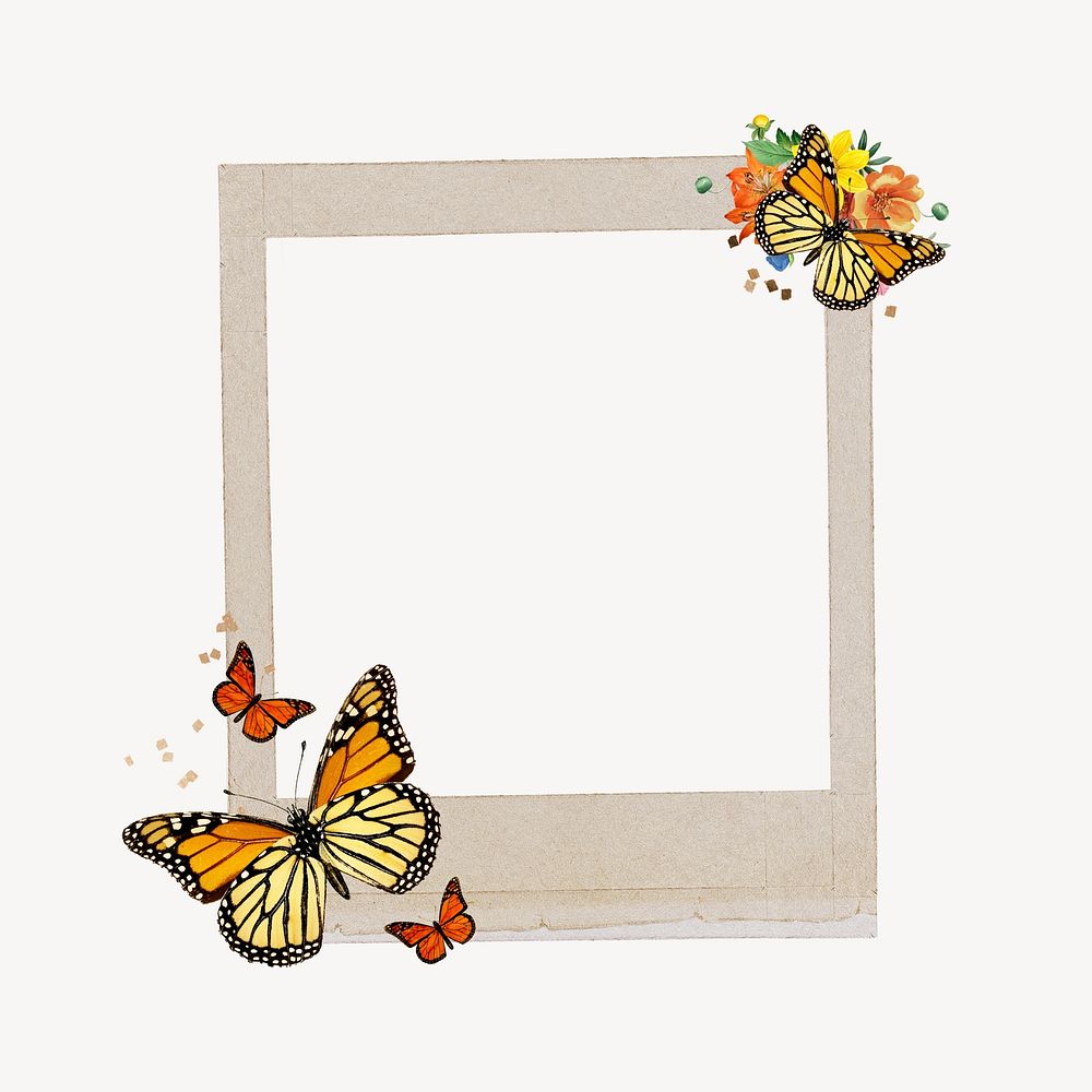 butterfly, flower, frame, illustration