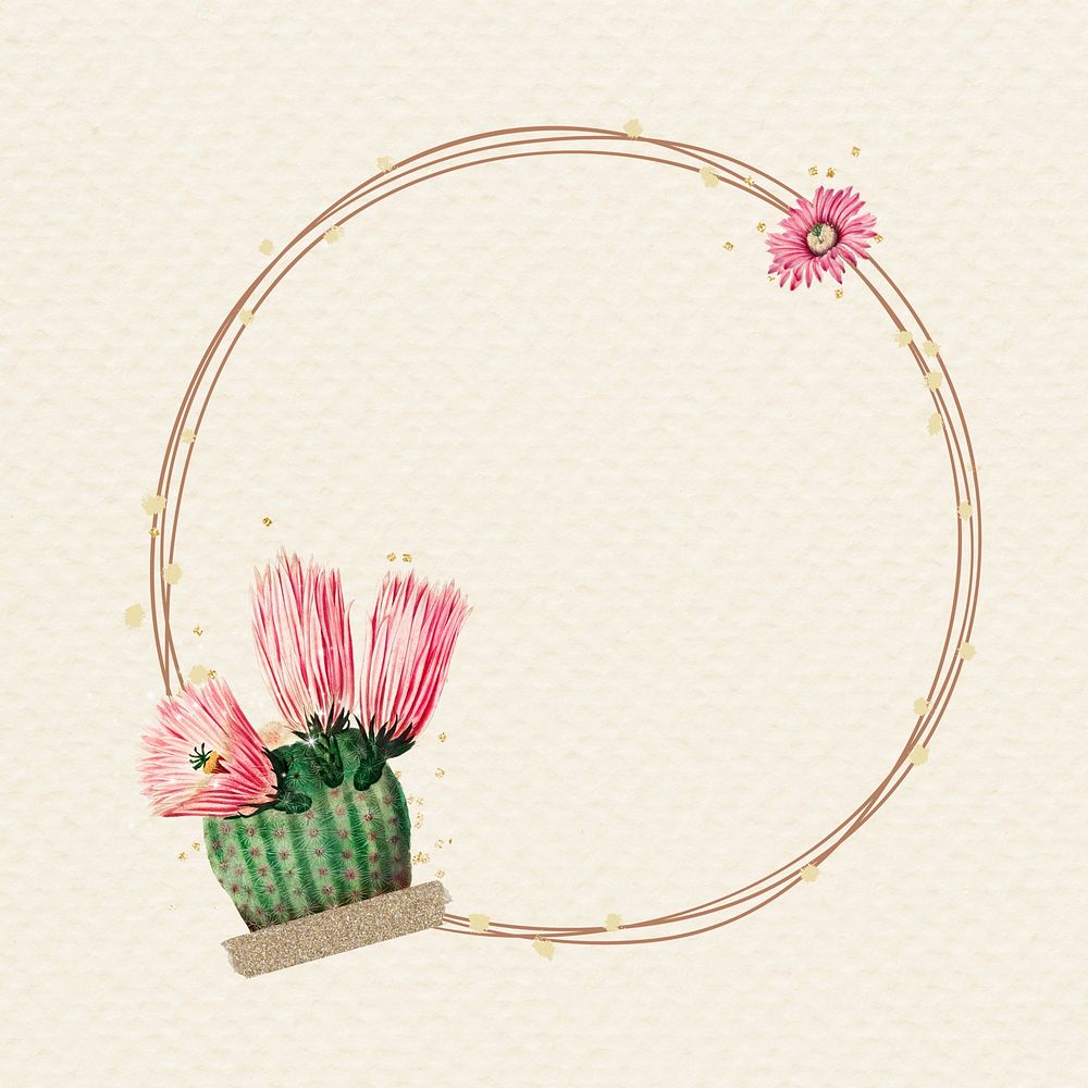 Cactus flower frame background