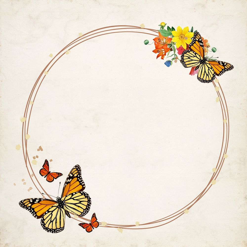 Monarch butterfly frame background