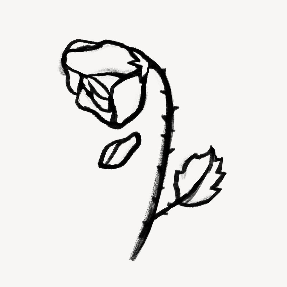 Shrivel rose doodle illustration design