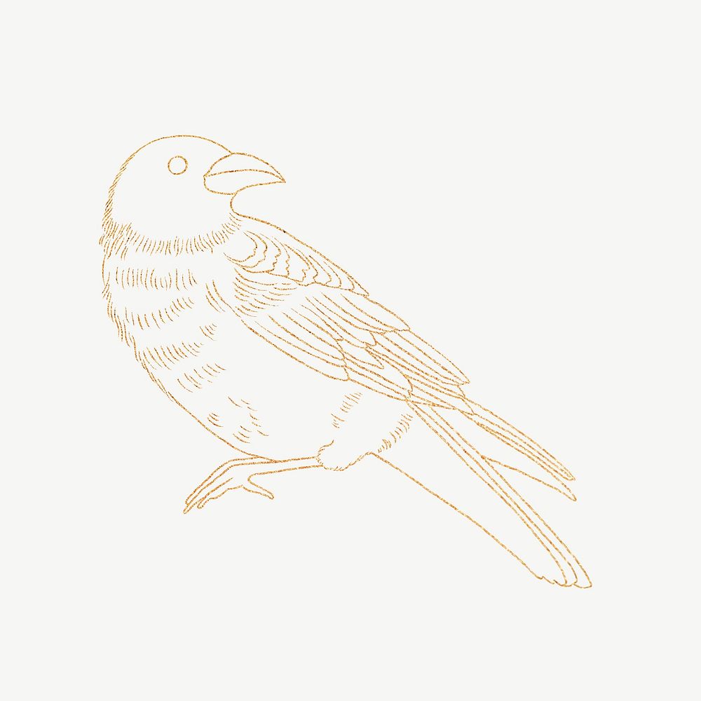 Golden bird, spiritual illustration psd