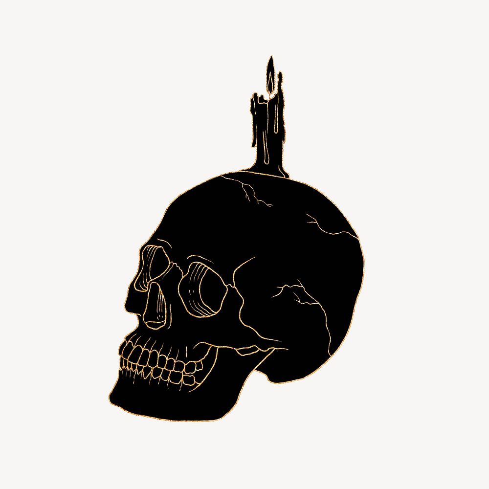 Aesthetic skull, spiritual illustration, design resource