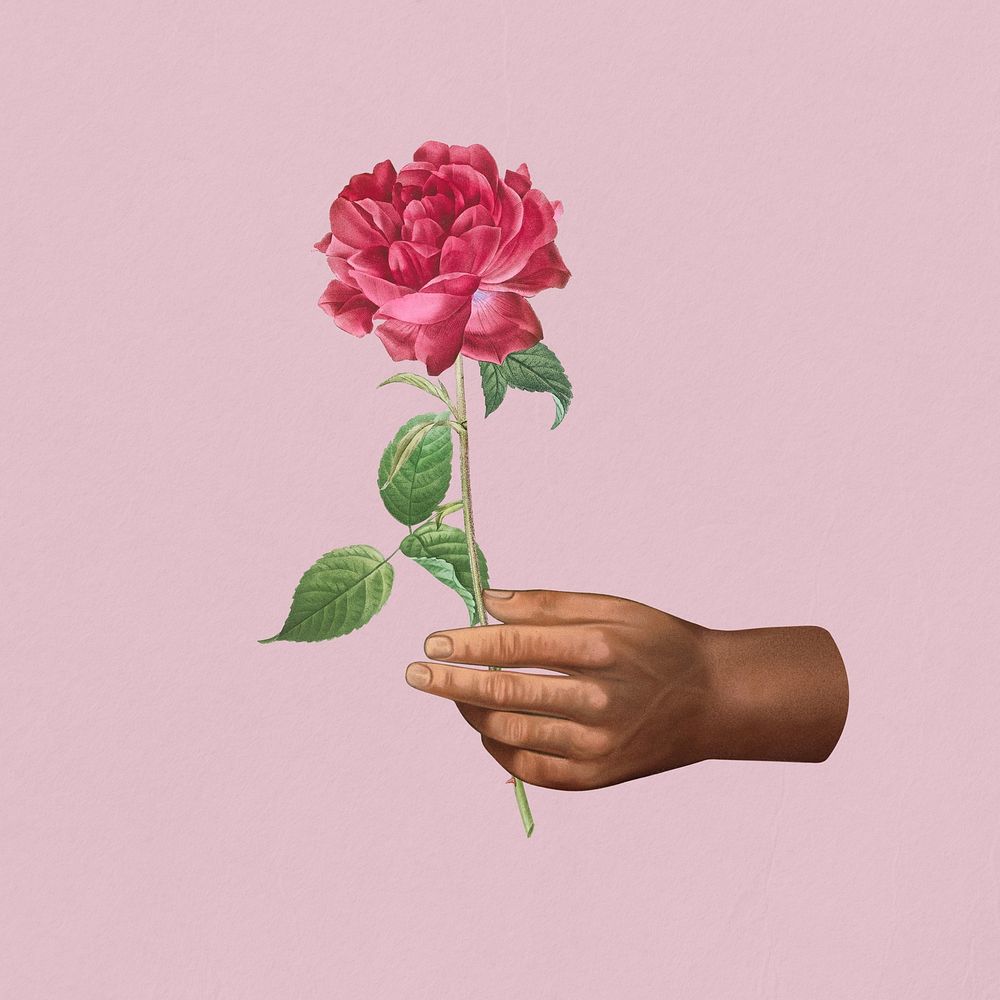 Vintage hand holding rose collage remix
