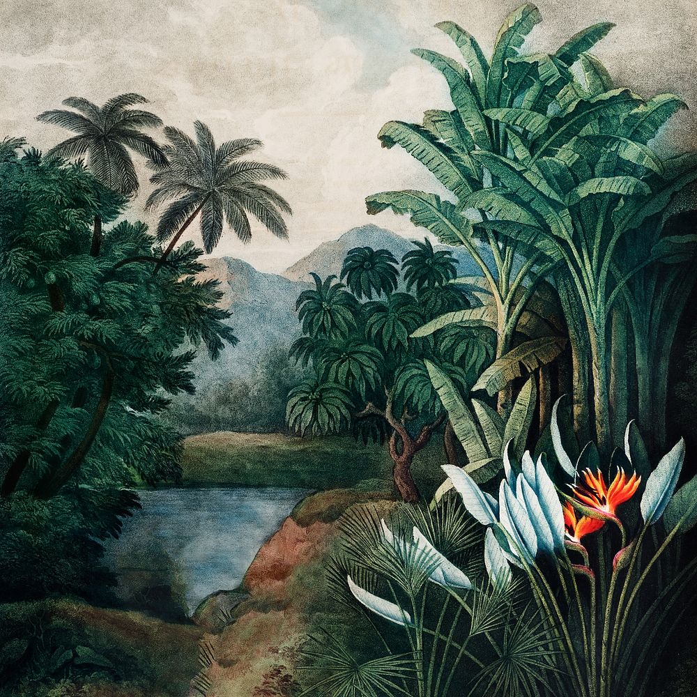 Exotic jungle background, vintage illustration. Remixed by rawpixel.