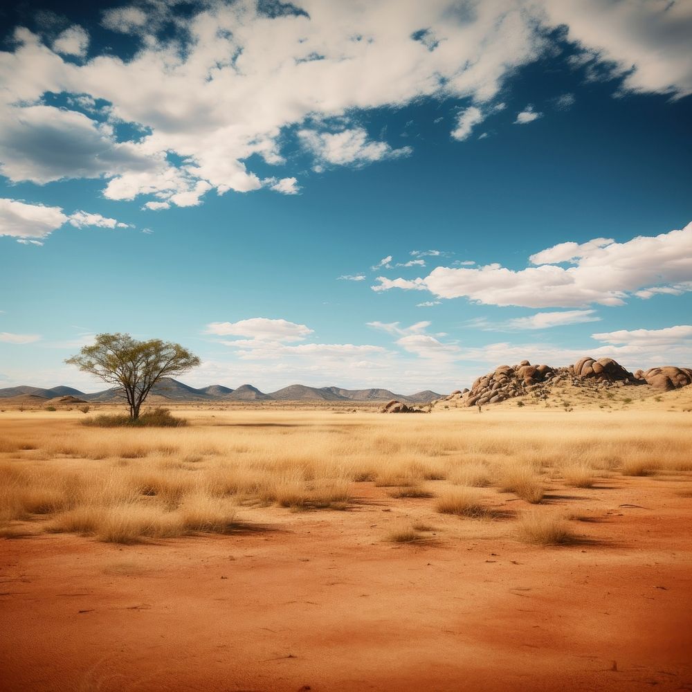 Namibia field landscape outdoors nature. AI generated Image by rawpixel.