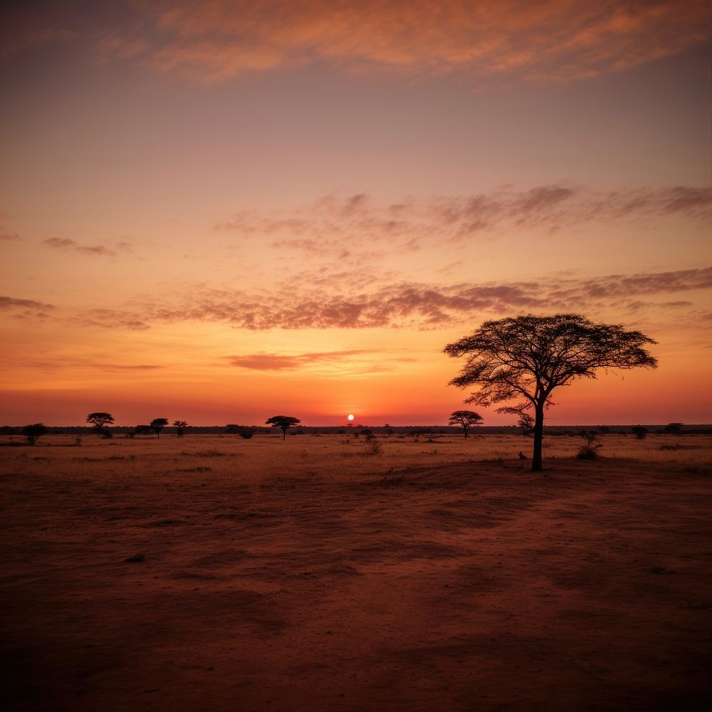 Africa landscape outdoors horizon. AI generated Image by rawpixel.