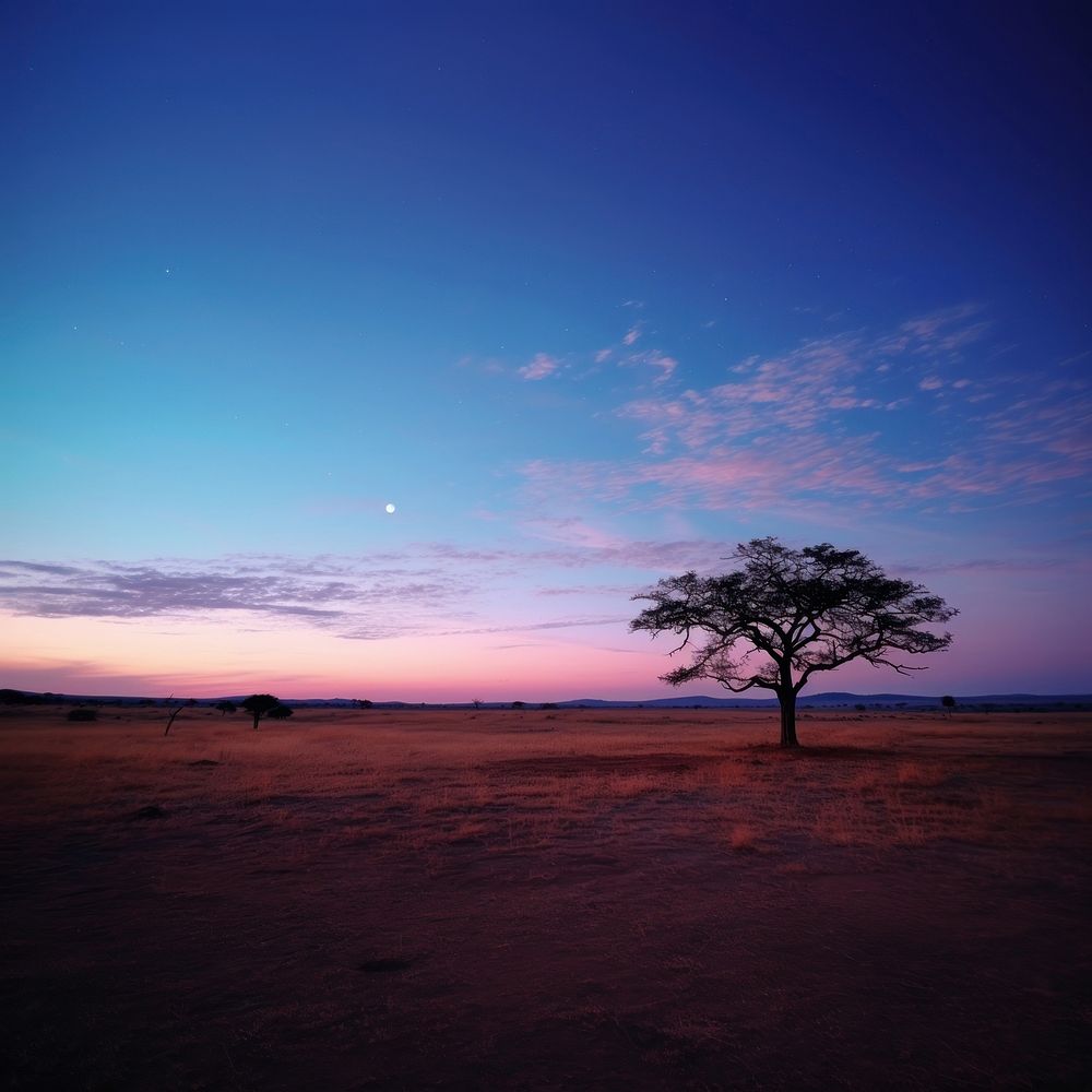Africa sky outdoors horizon. AI generated Image by rawpixel.
