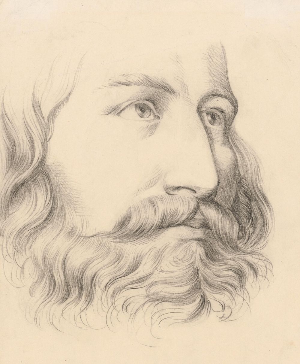 Study of a male head with mustache and beard