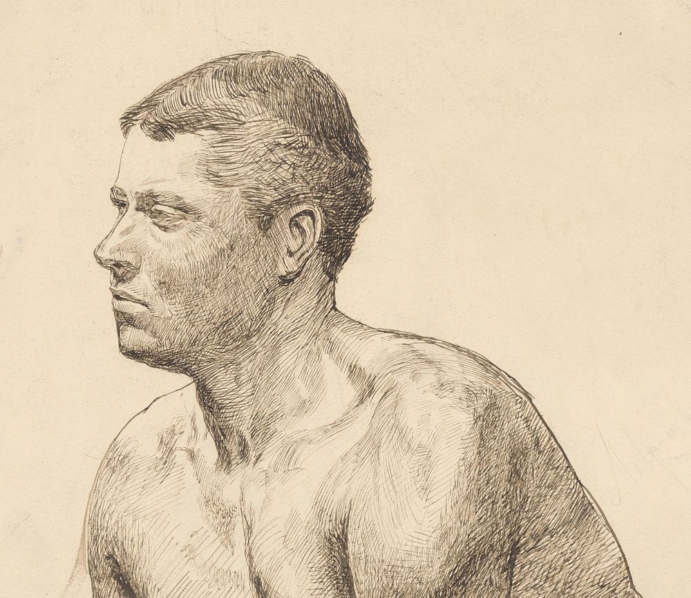A study of the male bust