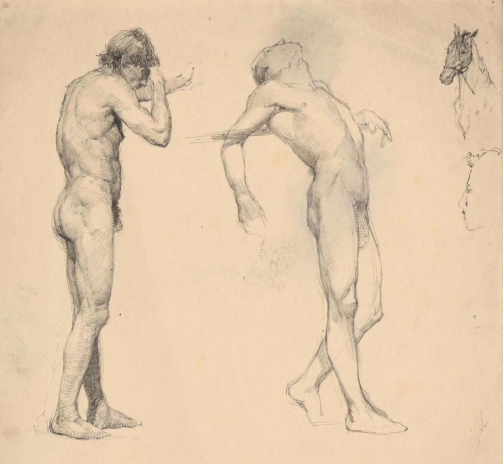 Studies of male nudes and horse head